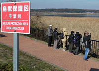 25totaP1030407_thumb.jpg